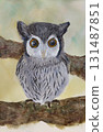 Owl painted in watercolor 131487851