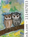 Watercolor drawing of two owls huddled together 131487853