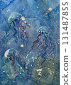 floating jellyfish 131487855