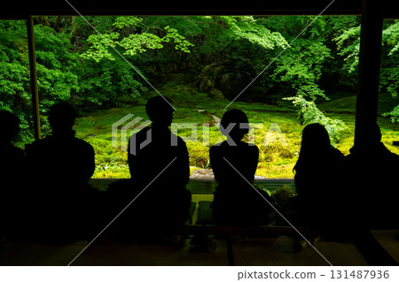 Fresh greenery at Ruriko-in Temple in Kyoto 131487936