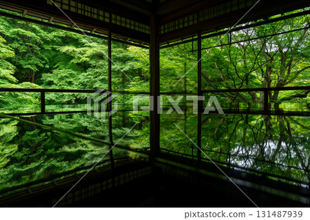 京都琉璃光院的新綠 131487939