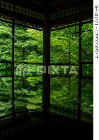 京都琉璃光院的新綠 131487940