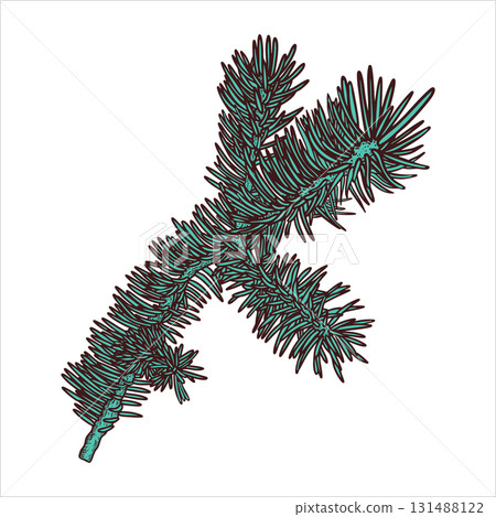 Hand drawn blue fir branch. Christmas design element. Vector illustration. 131488122
