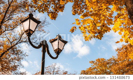 Golden Lamps Beneath Autumn Canopy and Blue Sky Golden Lamps Beneath Autumn Canopy and Blue Sky 131488673