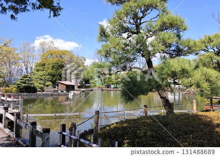東京荒川區荒川自然公園的風景 131488689