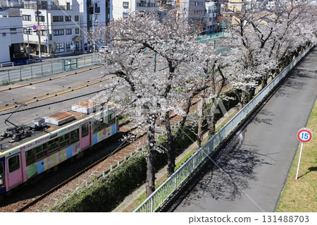 Tokyo Sakura Tram running alongside Arakawa Nature Park in Arakawa Ward, Tokyo 131488703