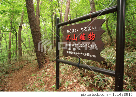 Entrance to Osen Falls Entrance to Osen Falls 131488915