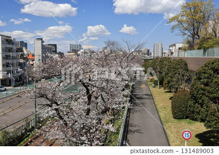 Scenery of Arakawa Nature Park in Arakawa Ward, Tokyo 131489003