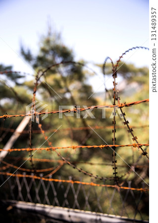 The barbed wire of the division of Korea The barbed wire of the division of Korea 131489357