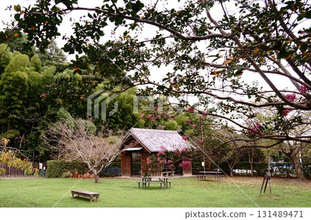 Healing arbor Healing arbor 131489471