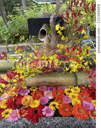 花癒合 131489969