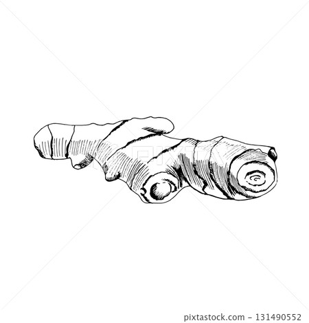 Hand drawn vector illustration of fresh ginger root. Detailed sketch of spicy herb rhizome for cooking, tea, Ayurveda, medicine and healthy food. Organic botanical drawing isolated on white Hand drawn vector illustration of fresh ginger root. Detailed sketch of spicy herb rhizome for cooking, tea, Ayurveda, medicine and healthy food. Organic botanical drawing isolated on white 131490552