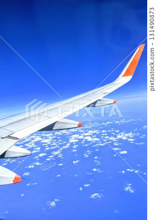 Airplane wing 131490873