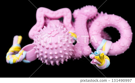 Dog toys isolated 131490997