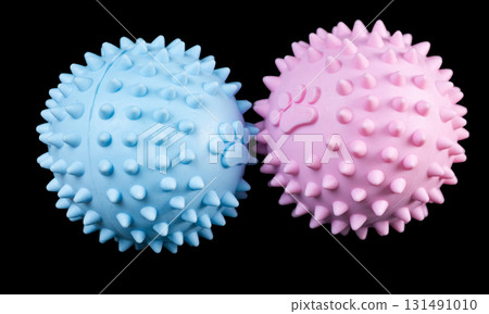 Dog toys isolated 131491010
