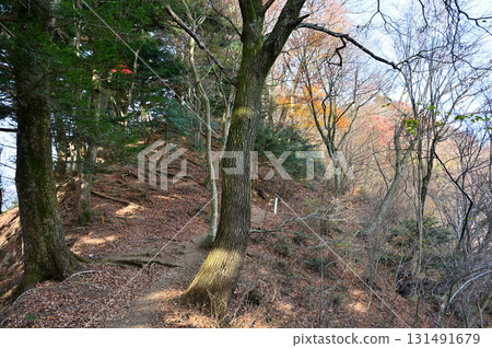 Mount Takatori in Tanzawa: Ridge trail along the Butsugayama to Kyogatake traverse course in autumn Mount Takatori in Tanzawa: Ridge trail along the Butsugayama to Kyogatake traverse course in autumn 131491679