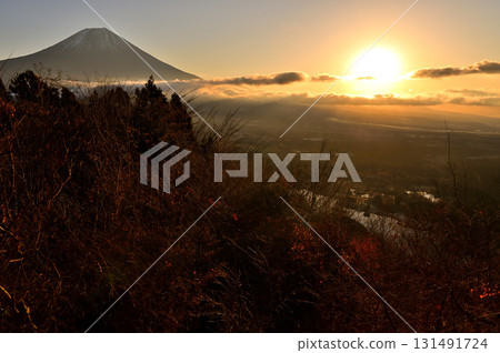 天子山長者岳的清晨：富士山與旭日 131491724