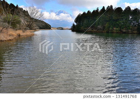 從靜岡縣富士宮市田貫湖眺望的冬季富士山 131491768