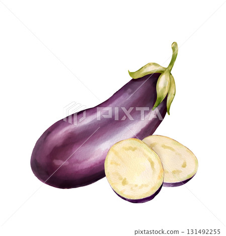 Hand-drawn illustration of single dark purple ripe eggplant with green leaves and small yellow-green flowers Hand-drawn illustration of single dark purple ripe eggplant with green leaves and small yellow-green flowers 131492255