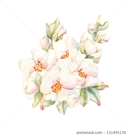 Little White Flowers buds leaves Peach Apple Blossom Blooming. Watercolor hand drawn floral illustration isolated on white background for home textile fresh fabric cosmetic package porcelain crockery Little White Flowers buds leaves Peach Apple Blossom Blooming. Watercolor hand drawn floral illustration isolated on white background for home textile fresh fabric cosmetic package porcelain crockery 131493130