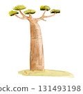 Hand-drawn watercolor illustration of a baobab tree with lush green foliage standing on green grass in a safari park. 131493198