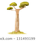 Hand-drawn watercolor illustration of a baobab tree with lush green foliage standing on green grass in a safari park. 131493199