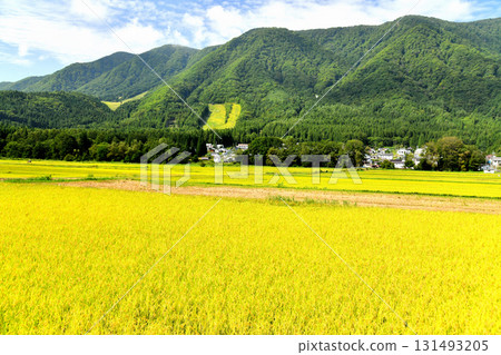 Scenery of Hakuba Village, Nagano Prefecture / View towards Hakuba Sanosaka Ski Resort (Hakuba Village, Nagano Prefecture) [September 2025] 131493205