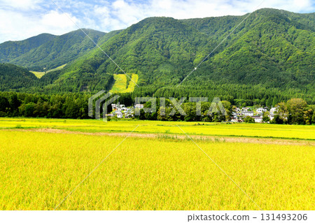 Scenery of Hakuba Village, Nagano Prefecture / View towards Hakuba Sanosaka Ski Resort (Hakuba Village, Nagano Prefecture) [September 2025] 131493206