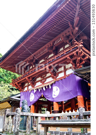 Looking up at the solemn Sakuramon Gate of Niutsuhime Shrine 131493630