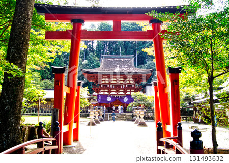 View of the Sakuramon Gate from the middle torii gate of Nyutsuhime Shrine 131493632