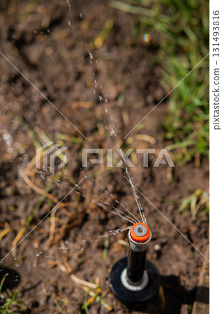 Close-up automatic garden watering system with different sprinklers installed under turf. Close-up automatic garden watering system with different sprinklers installed under turf. 131493816