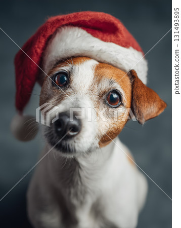 Dog wearing a red Santa hat is looking at the camera 131493895