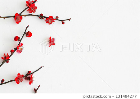 白色背景上盛開的紅梅枝和花朵的日式背景 白色背景上盛開的紅梅枝和花朵的日式背景 131494277