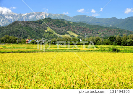 View of the Hakuba Iwatake Mountain Resort area (Hakuba Village, Nagano Prefecture) [September 2025] 131494305