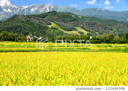 View of the Hakuba Iwatake Mountain Resort area (Hakuba Village, Nagano Prefecture) [September 2025] 131494306