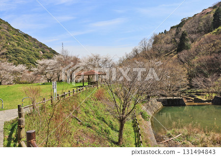Takakurayama Forest Park, rich in nature, located in Kokuraminami Ward, Kitakyushu City Takakurayama Forest Park, rich in nature, located in Kokuraminami Ward, Kitakyushu City 131494843
