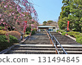 Spring at Shiranoe Botanical Garden in Kitakyushu City, where you can enjoy seasonal plants 131494845