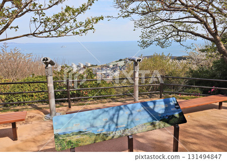 北九州白江植物園,可以欣賞到時令植物 北九州白江植物園,可以欣賞到時令植物 131494847