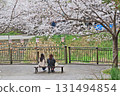 A row of cherry blossom trees and votive tablets along the Shii River in Kokuraminami-ku, Kitakyushu 131494854