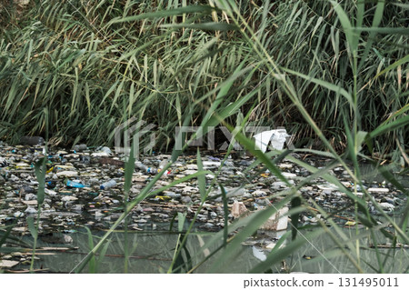 A polluted lake filled with garbage and debris. Litter floats on the water's surface, surrounded by overgrown vegetation and dirt banks. 131495011