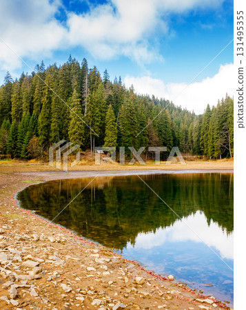 lake in carpathian mountains on a sunny autumn day. scenic view with coniferous forest reflection on the clear water. amazing cloudscape. beautiful landscape of synevyr national park of ukraine 131495355