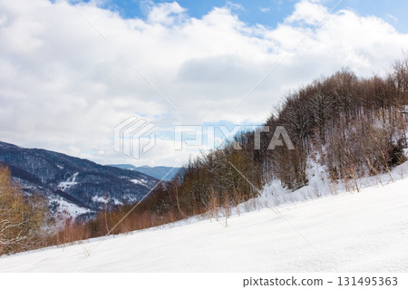 mountain landscape in winter. cloudy sky. scenery with deciduous forest on the snow covered hill. uzh national natural park mountain landscape in winter. cloudy sky. scenery with deciduous forest on the snow covered hill. uzh national natural park 131495363