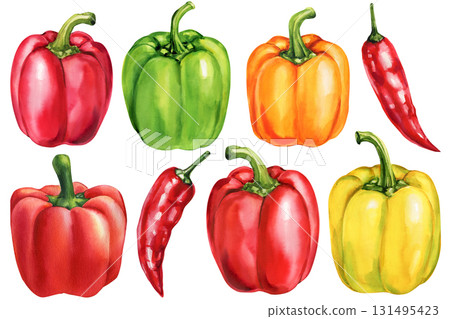 Watercolor peppers set red green yellow orange bell peppers with chili illustration organic fresh vegetables food art isolated 131495423
