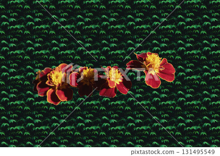 Vibrant Marigold Flowers on a Textured Surface 131495549