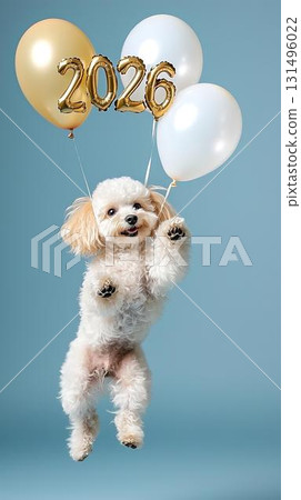 新年賀卡圖片中的玩具貴賓犬跳躍慶祝 2026 年新年 131496022