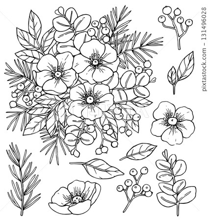 A Christmas set of flowers and fir branches. Vector illustration in sketch style. Coloring page. 131496028