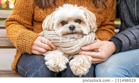A small dog feels the warmth of winter, wrapped up in its owner's arms 131496029