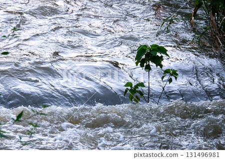 Rising river 131496981