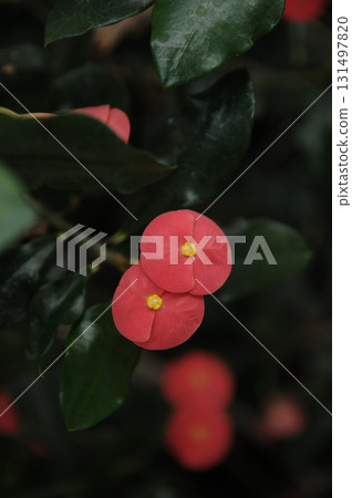 秋日炎熱,汗流浹背 秋日炎熱,汗流浹背 131497820