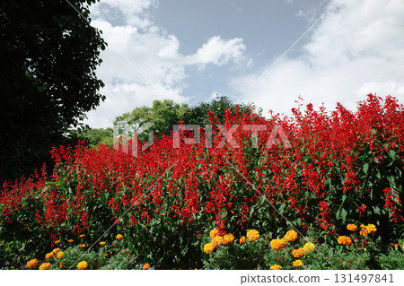 Hot autumn sweat 131497841